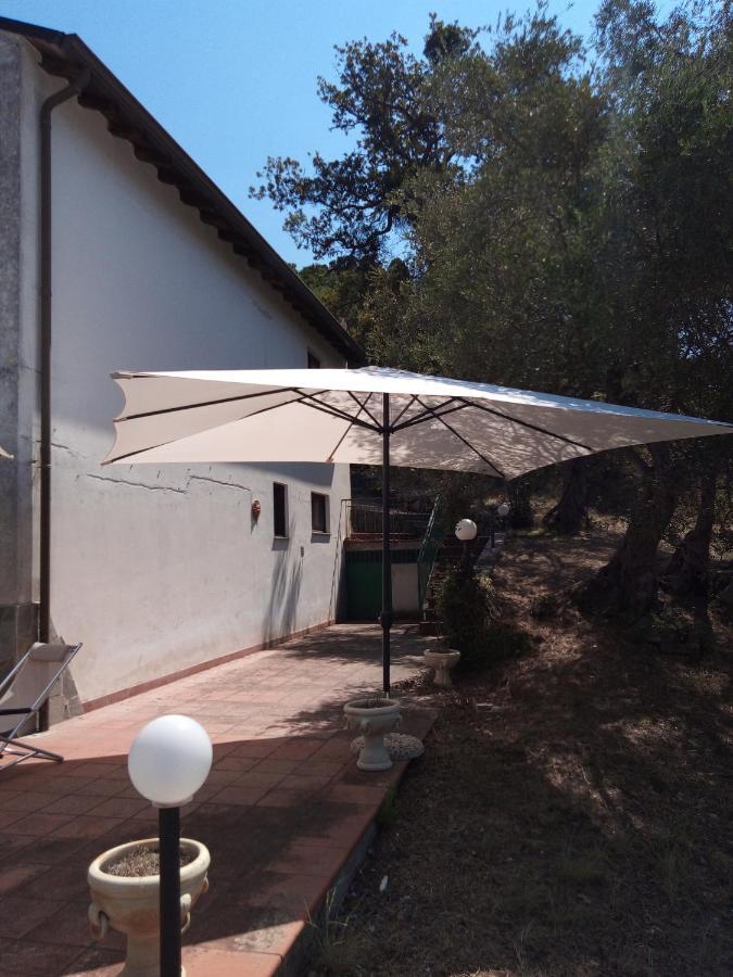 L'Antica Quercia B&B Castell'Umberto Exterior foto