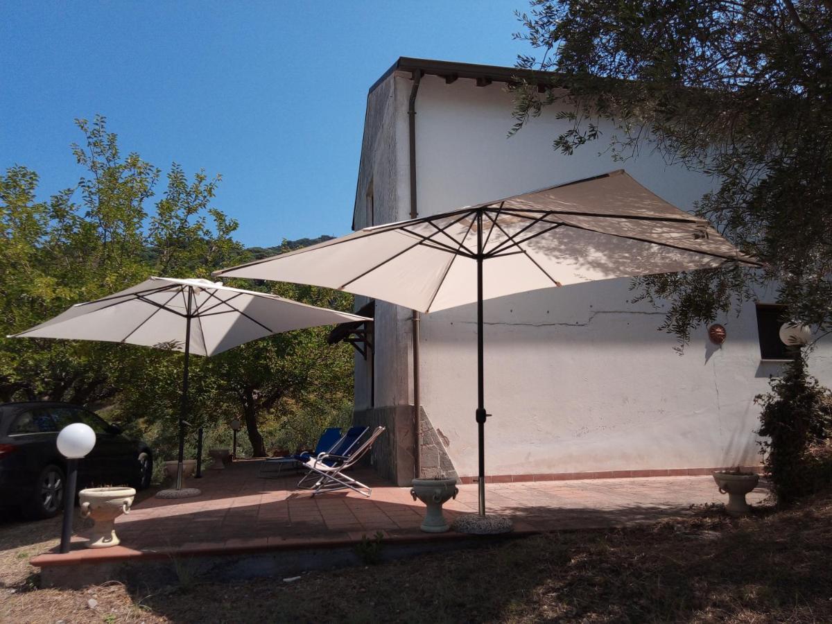 L'Antica Quercia B&B Castell'Umberto Exterior foto