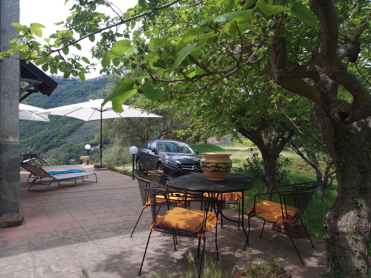L'Antica Quercia B&B Castell'Umberto Exterior foto