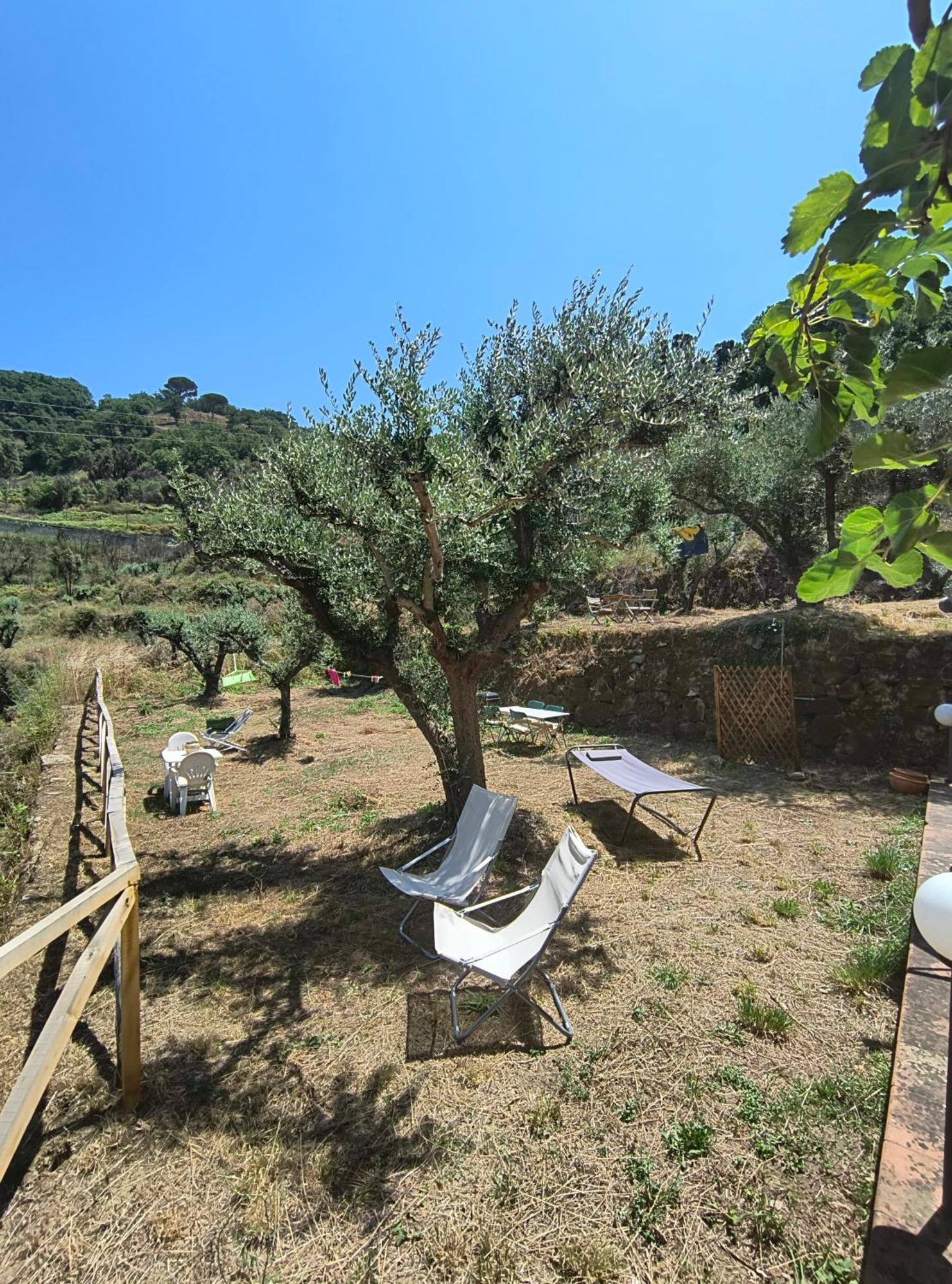 L'Antica Quercia B&B Castell'Umberto Exterior foto